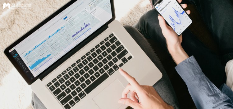 小红书最新动态及种草趋势