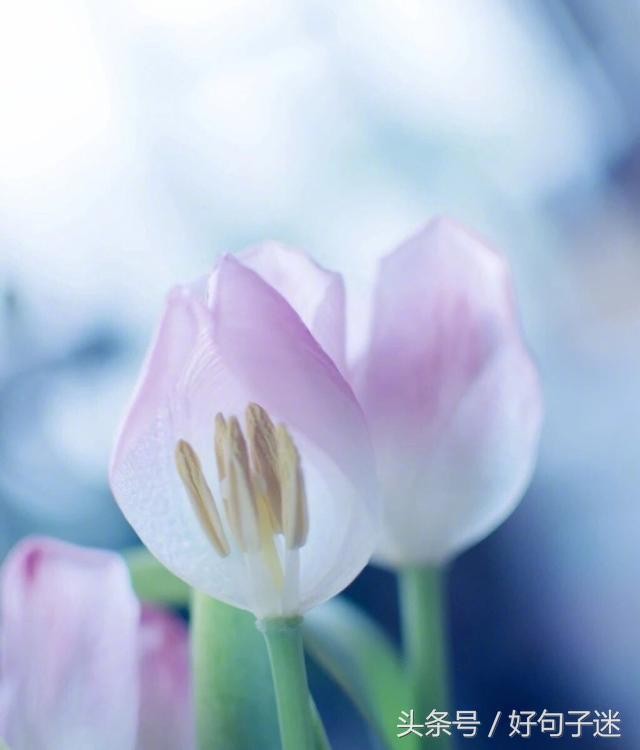 微信朋友圈最走心的爱情语录短句网络很流行很火!