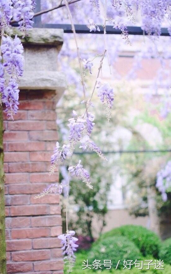 微信朋友圈最走心的爱情语录短句网络很流行很火!