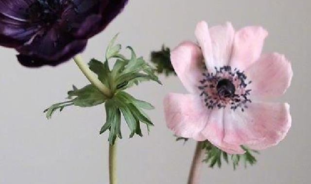 微信的“杀伤力”非常强，足以拆散N对夫妇